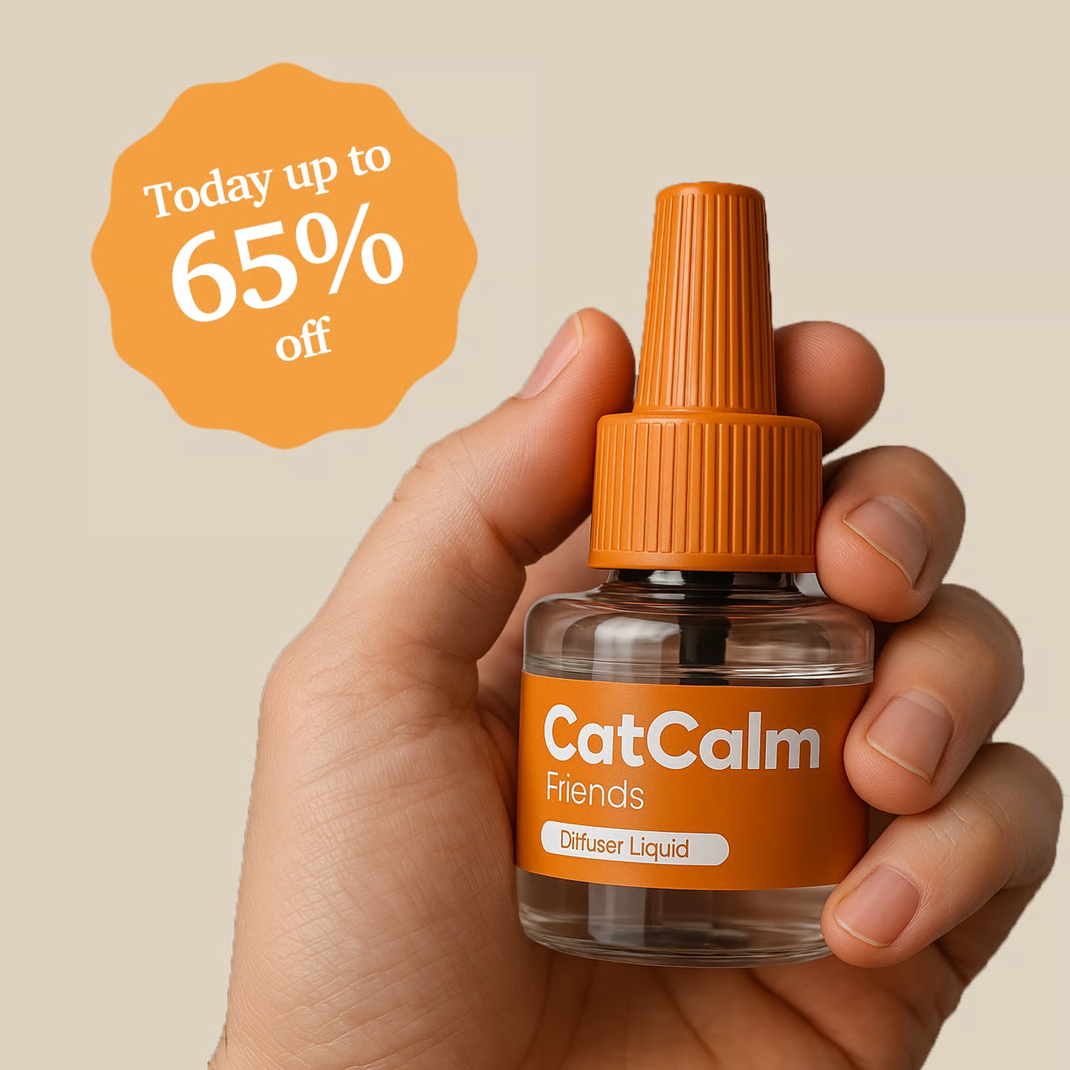 CatCalm Friends